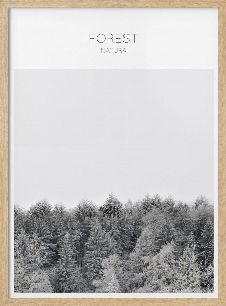 Bevroren rust | Poster