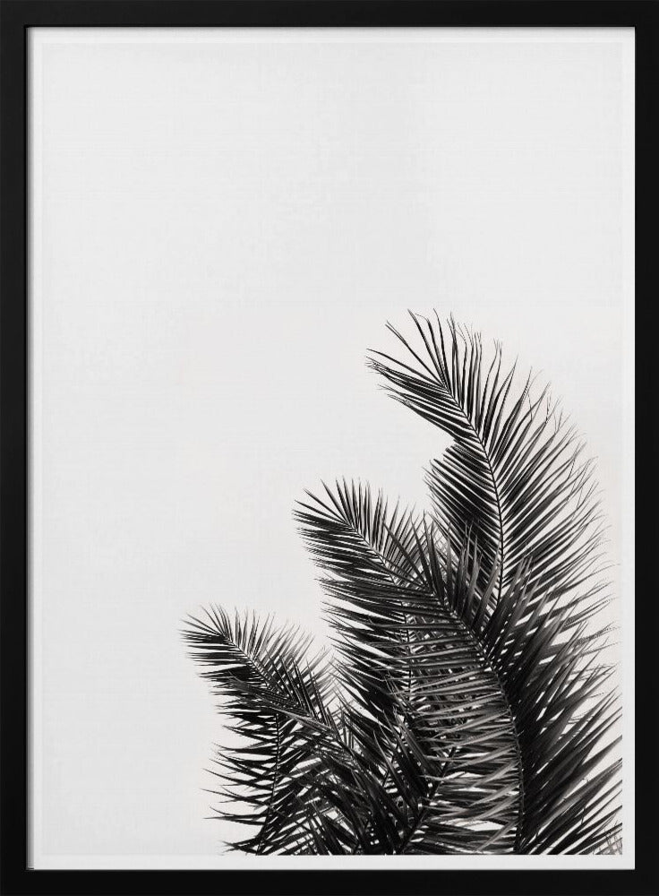 Palm Whisper | Poster