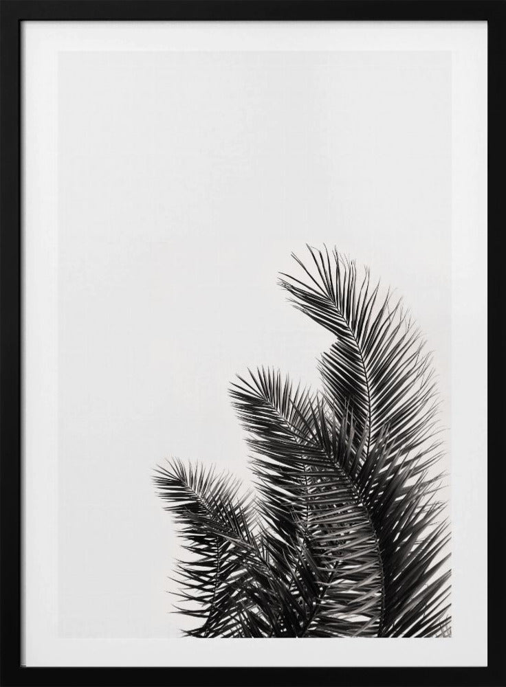 Palm Whisper | Poster