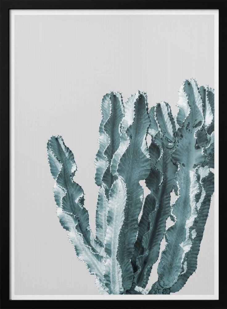 Cactus Elegantie | Poster