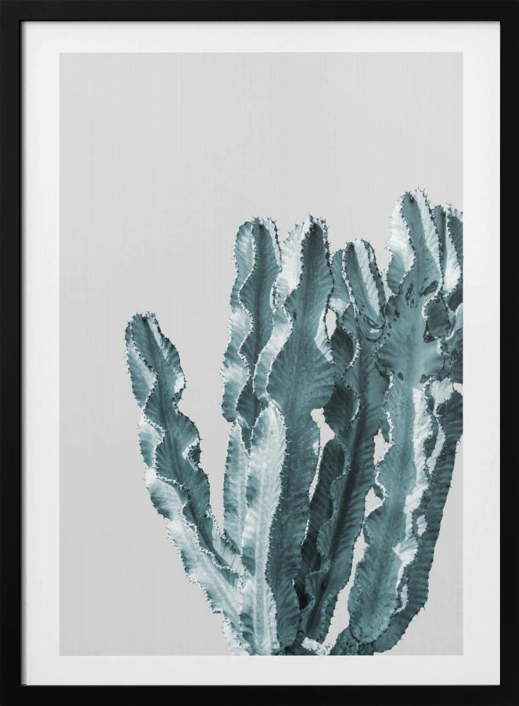 Cactus Elegantie | Poster