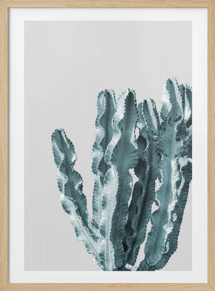 Cactus Elegantie | Poster