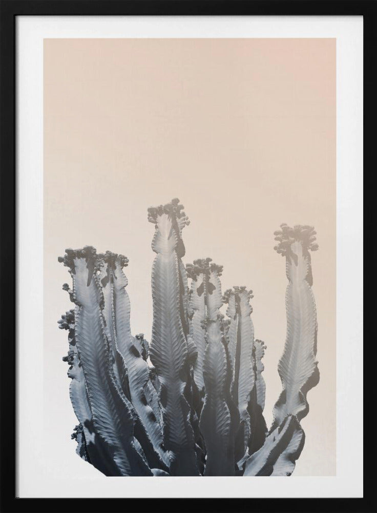 Cactussilhouetten | Poster