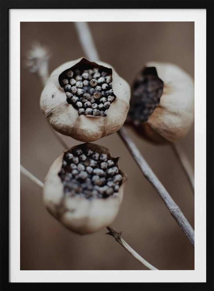 Capsules van de natuur | Poster