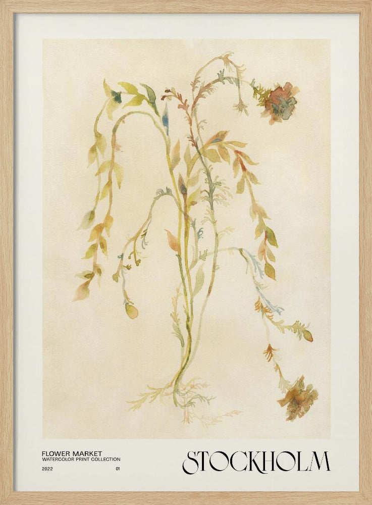 Collectie aquarelprints. Bloemenmarkt - Stockholm | Poster
