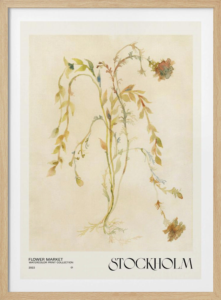 Collectie aquarelprints. Bloemenmarkt - Stockholm | Poster
