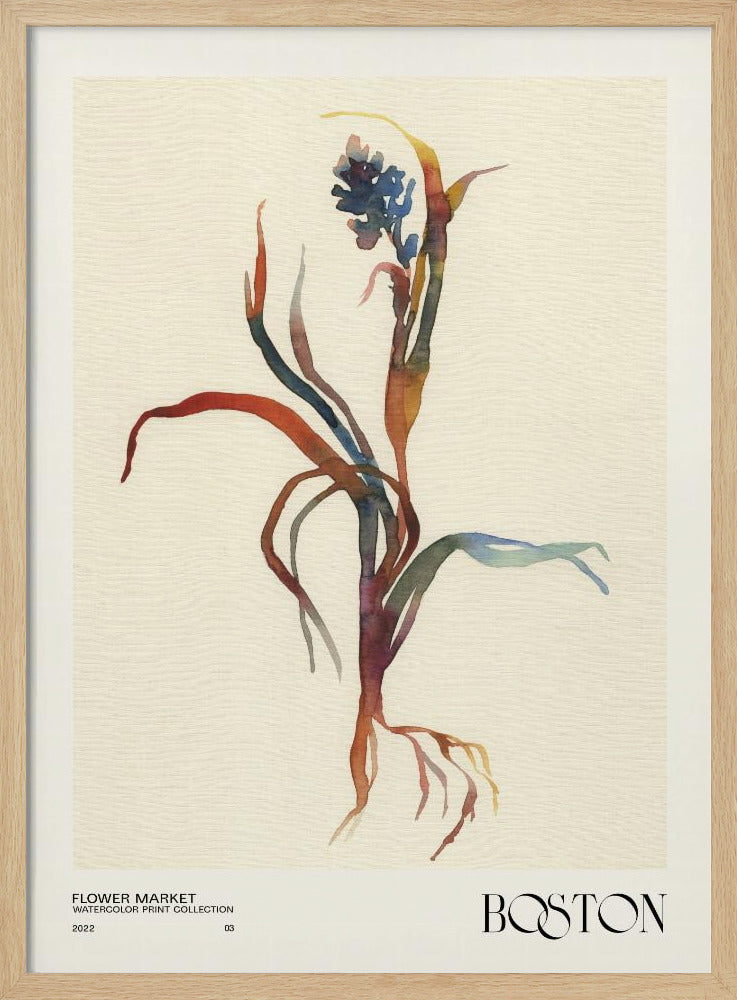 Collectie aquarelprints. Bloemenmarkt - Boston | Poster