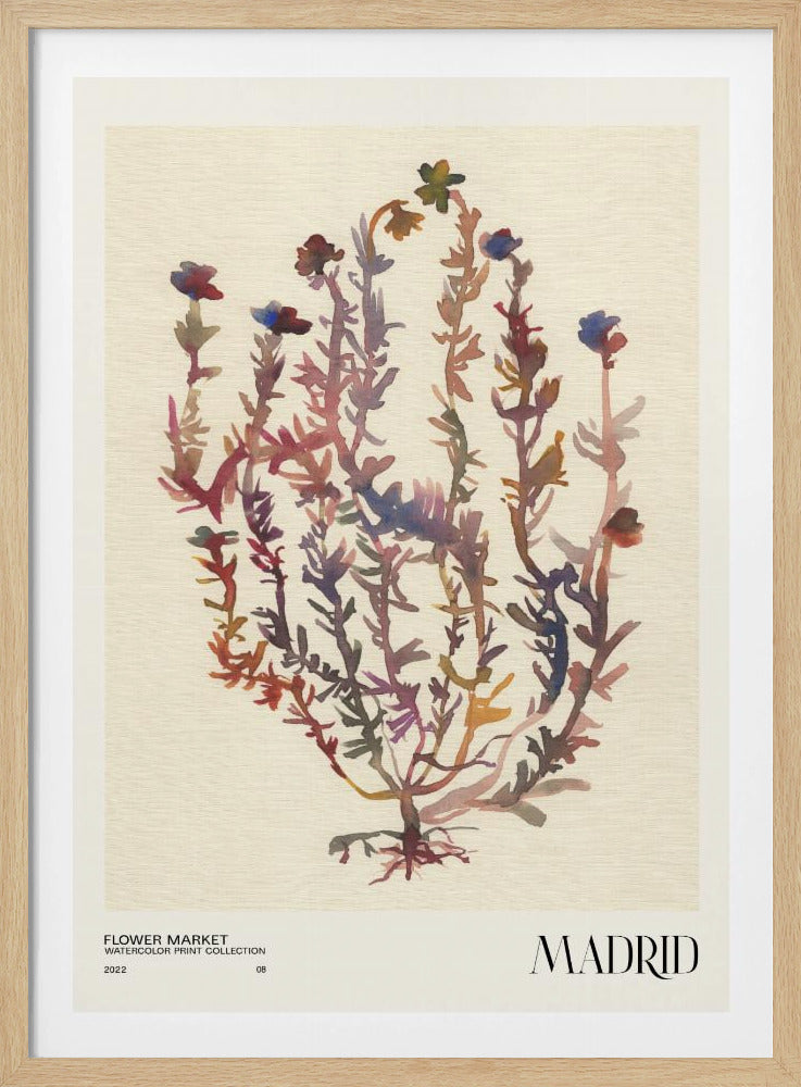 Collectie aquarelprints. Bloemenmarkt - Madrid | Poster