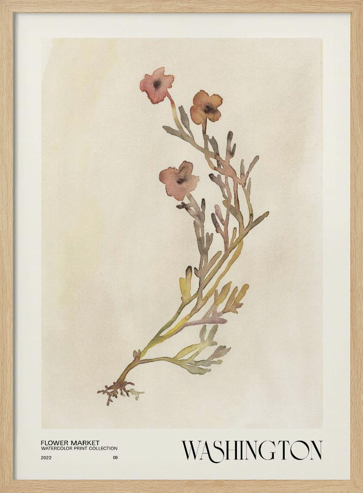 Collectie aquarelprints. Bloemenmarkt - Washington | Poster