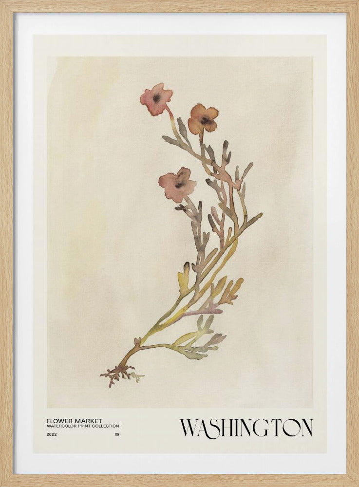Collectie aquarelprints. Bloemenmarkt - Washington | Poster