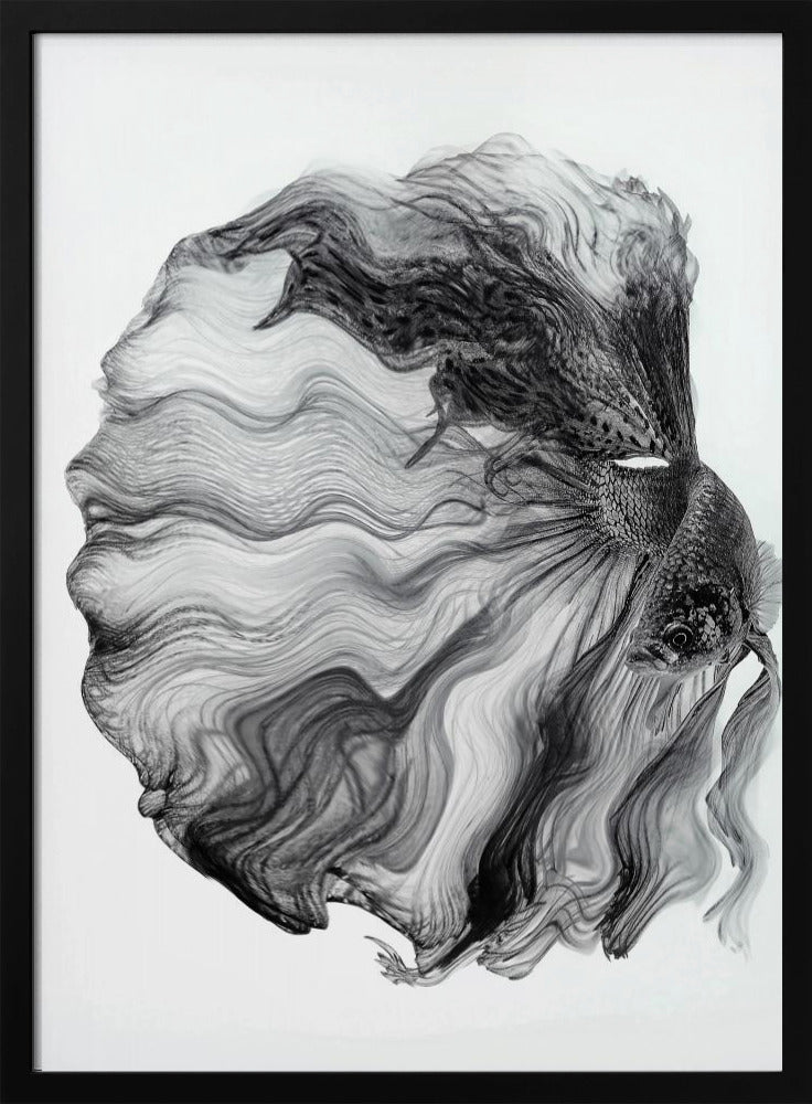INKT BETTA | Poster
