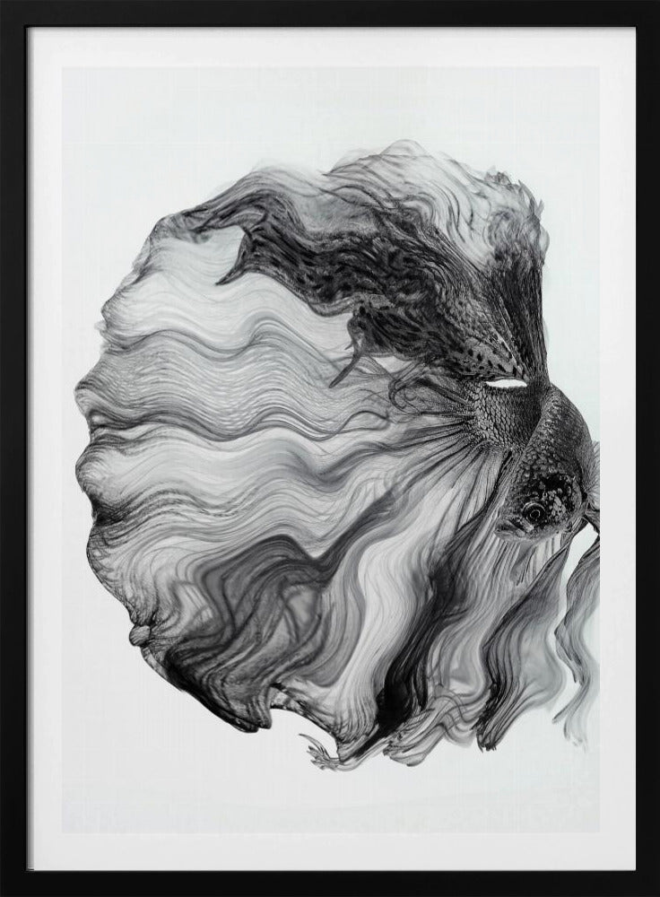 INKT BETTA | Poster