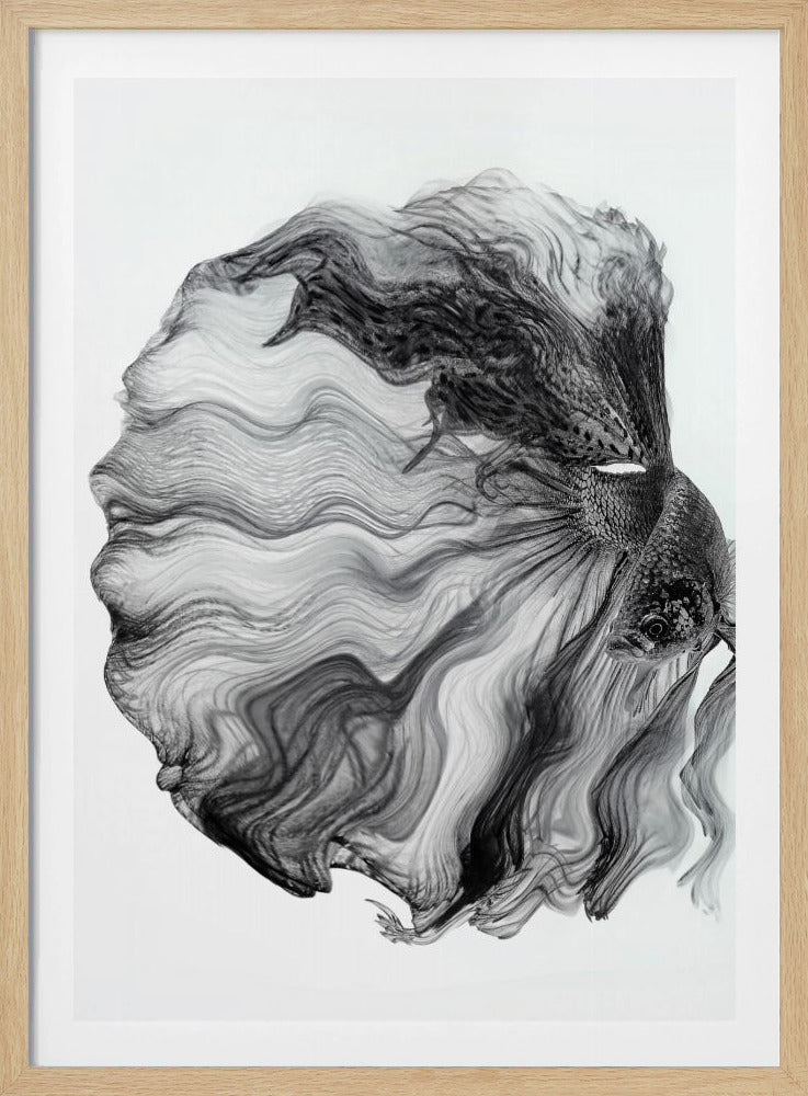 INKT BETTA | Poster