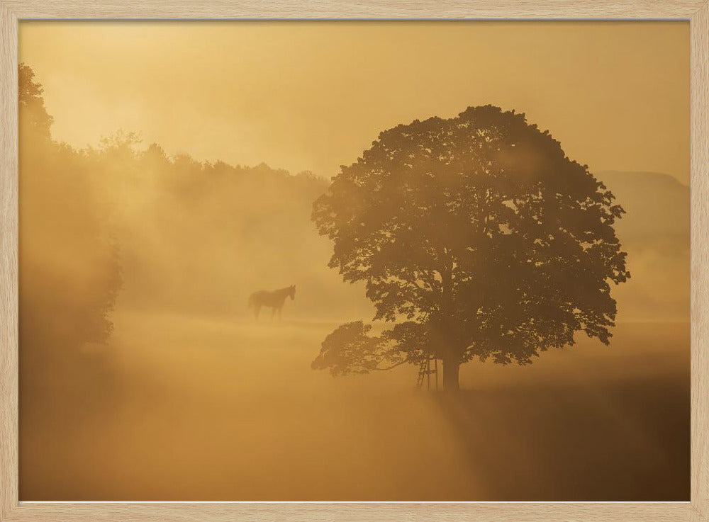 autumn morning | Poster
