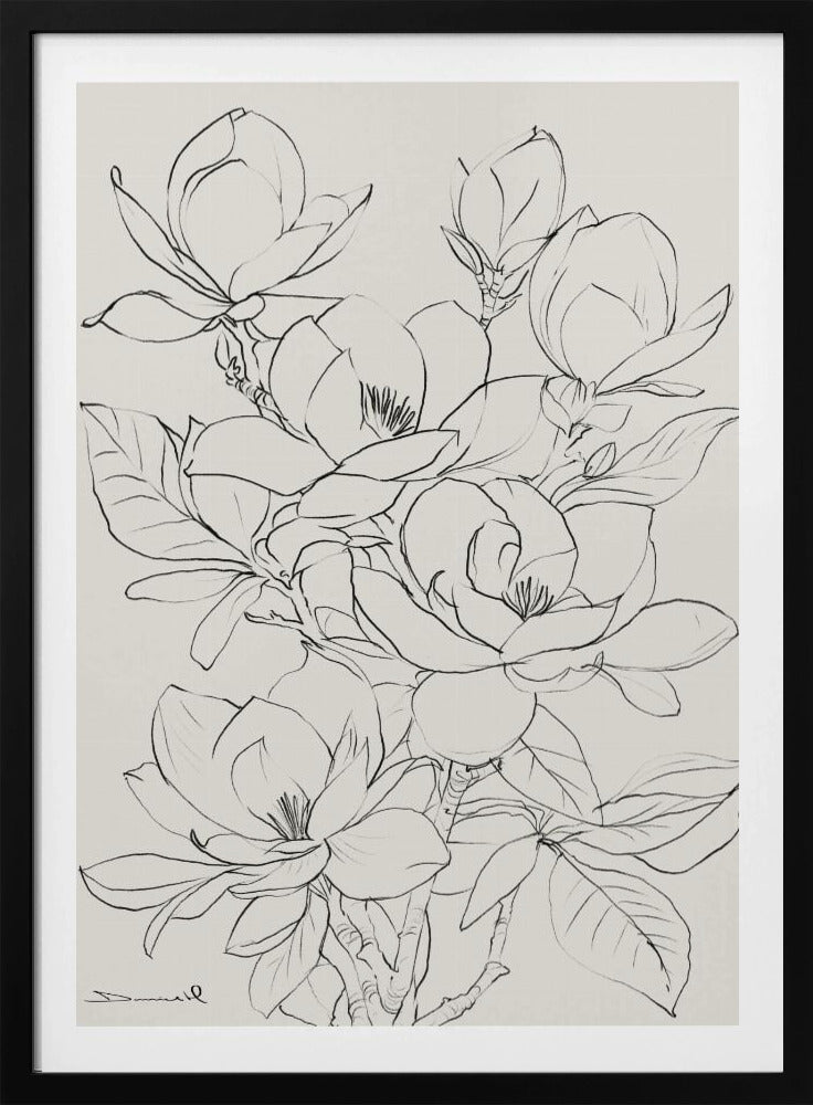 Magnoliaboom | Poster
