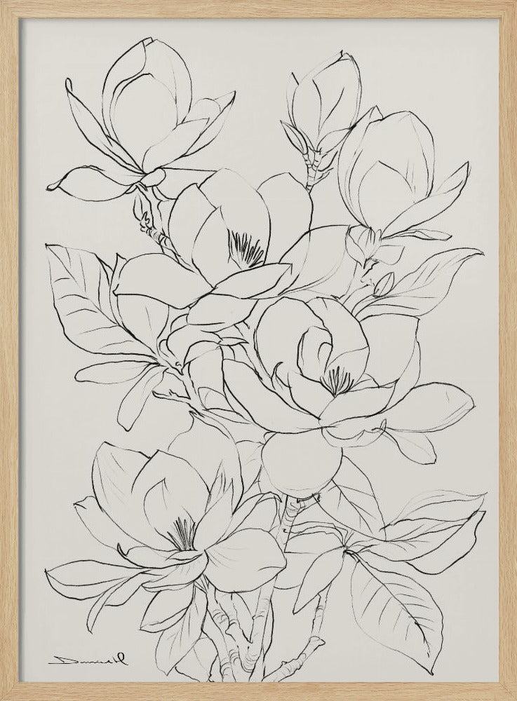 Magnoliaboom | Poster