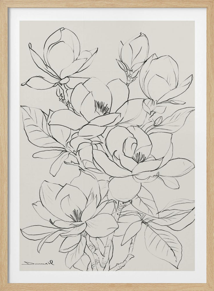 Magnoliaboom | Poster