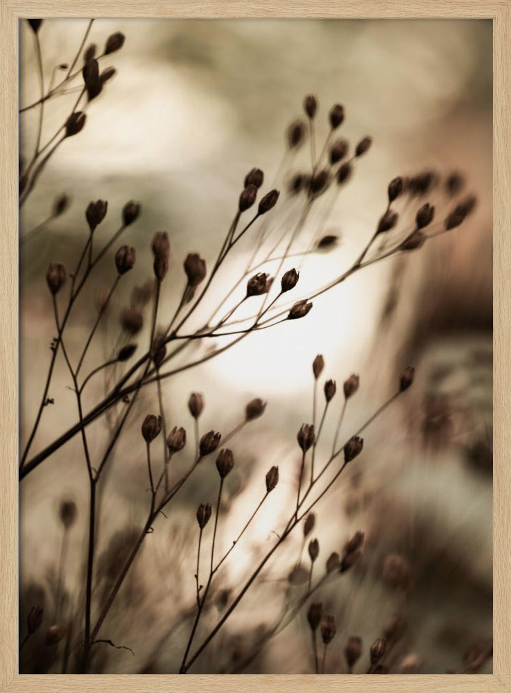 Herfstverlichting | Poster
