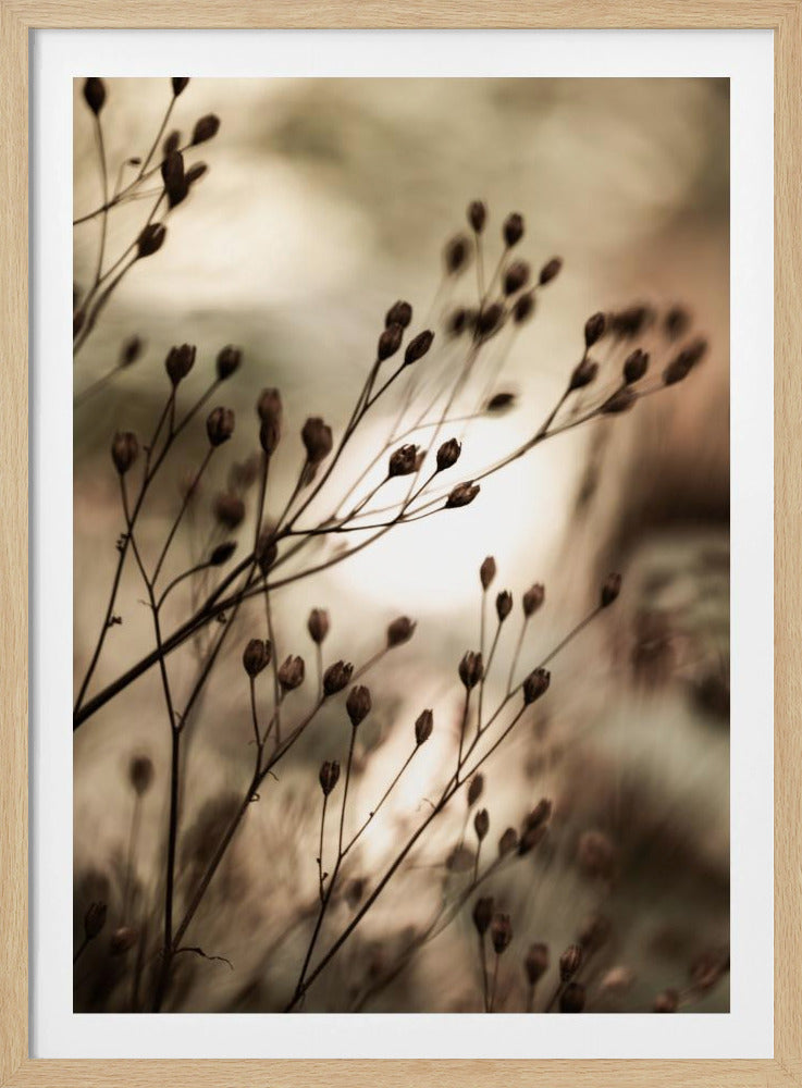 Herfstverlichting | Poster
