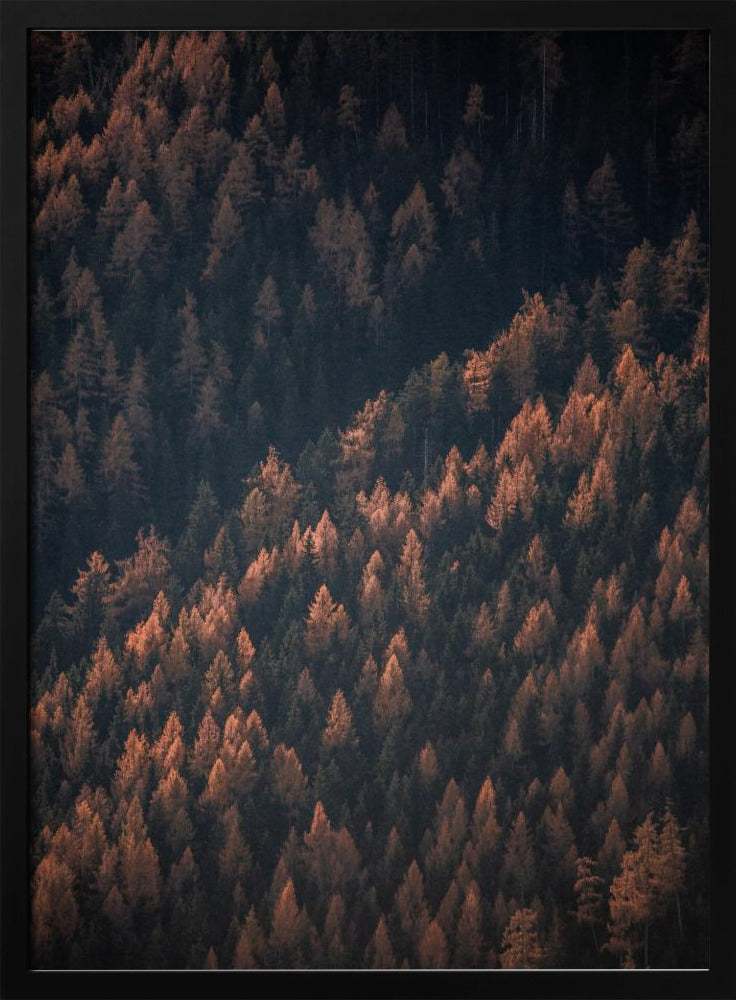Herfstbos 2 | Poster