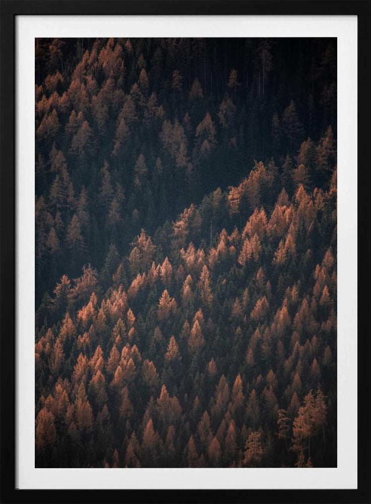Herfstbos 2 | Poster