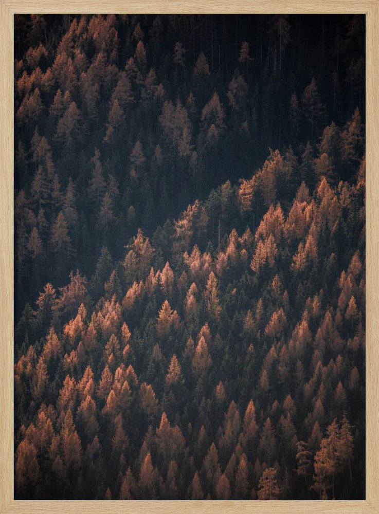 Herfstbos 2 | Poster