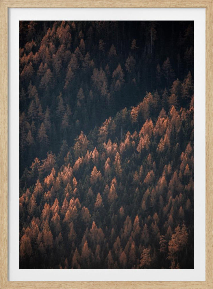 Herfstbos 2 | Poster