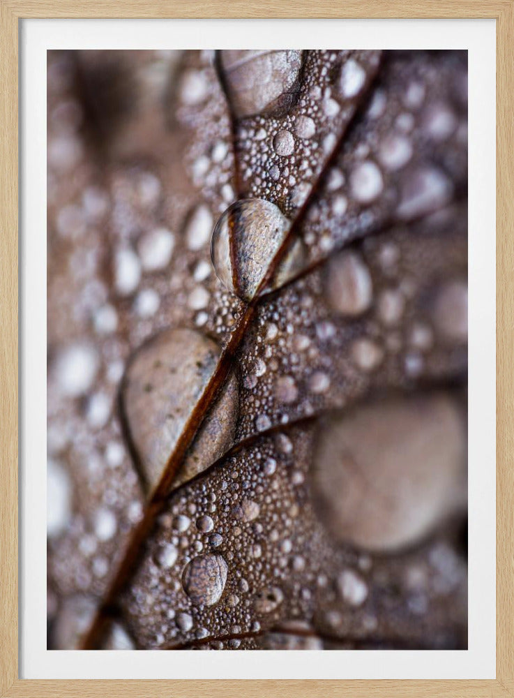 Herfstregen | Poster