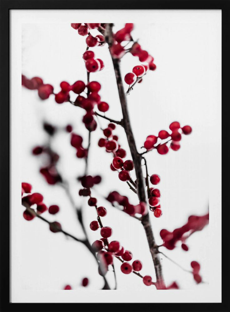 Red Berries 1 | Poster