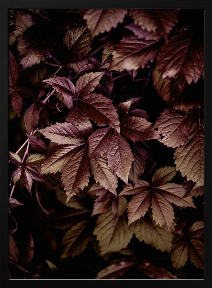 Herfstbladeren 13 | Poster