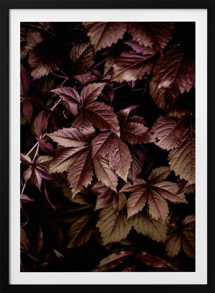 Herfstbladeren 13 | Poster
