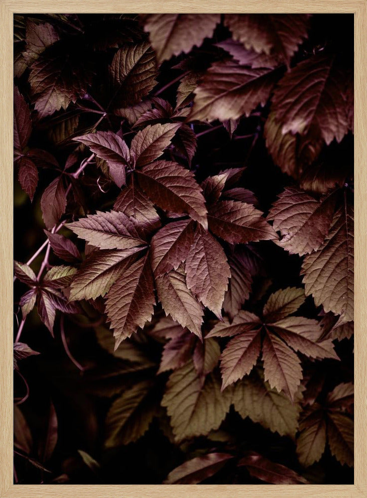 Herfstbladeren 13 | Poster