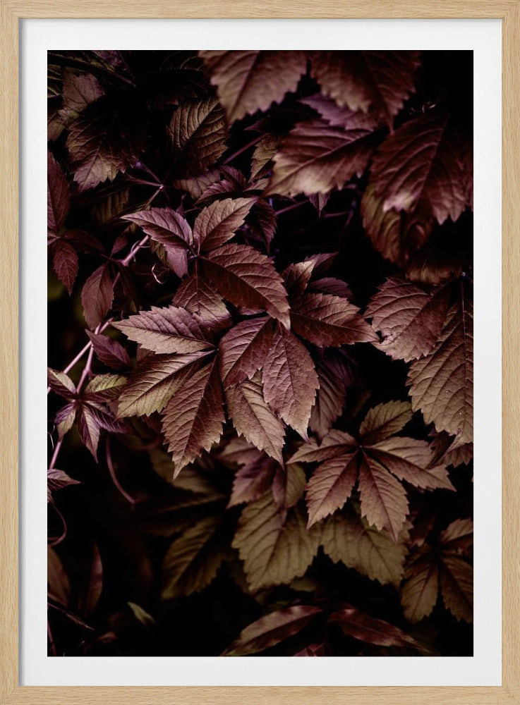Herfstbladeren 13 | Poster