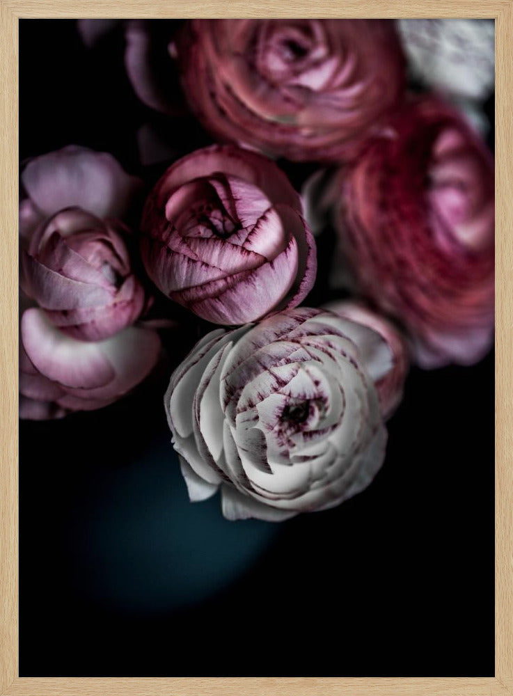 Donkere Bloemen 2 | Poster