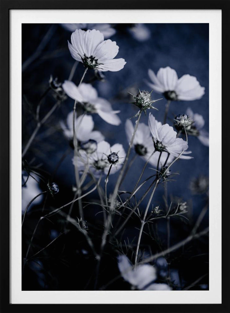 Wilde Bloemen 10 | Poster
