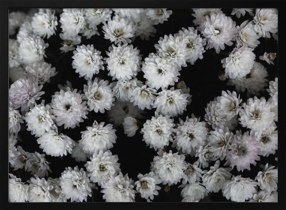 Tiny Flowers 3 | Poster