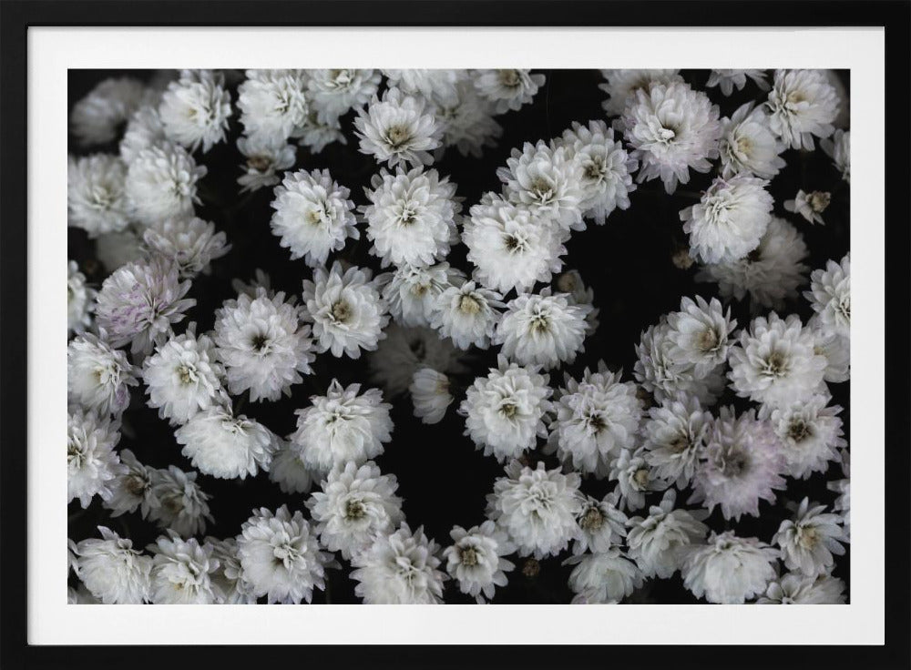 Tiny Flowers 3 | Poster