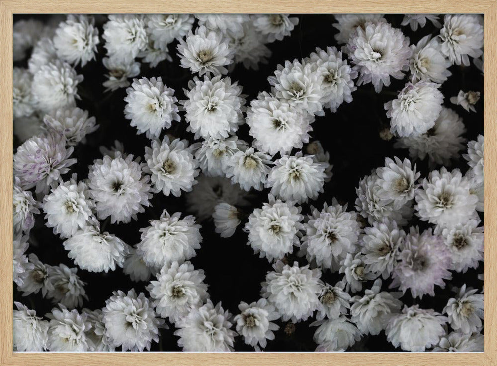 Tiny Flowers 3 | Poster