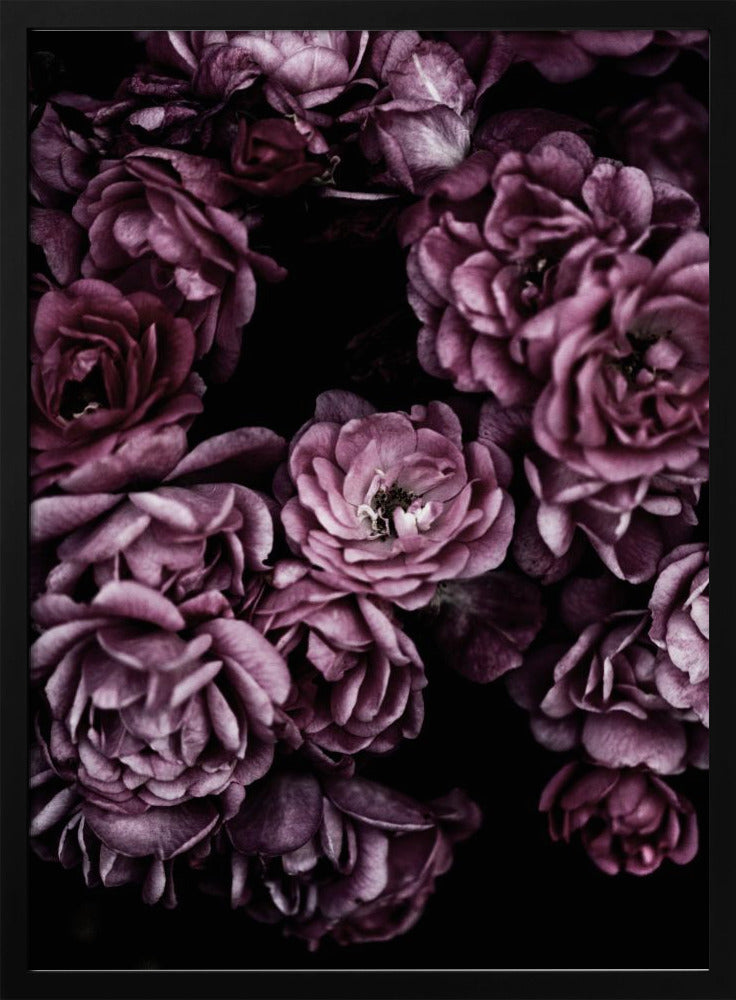 Wilde rozen | Poster