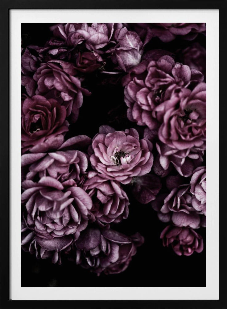 Wilde rozen | Poster