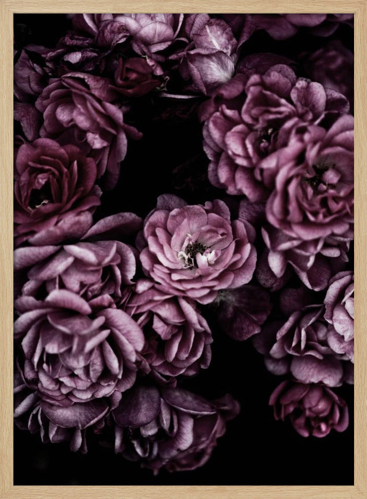 Wilde rozen | Poster