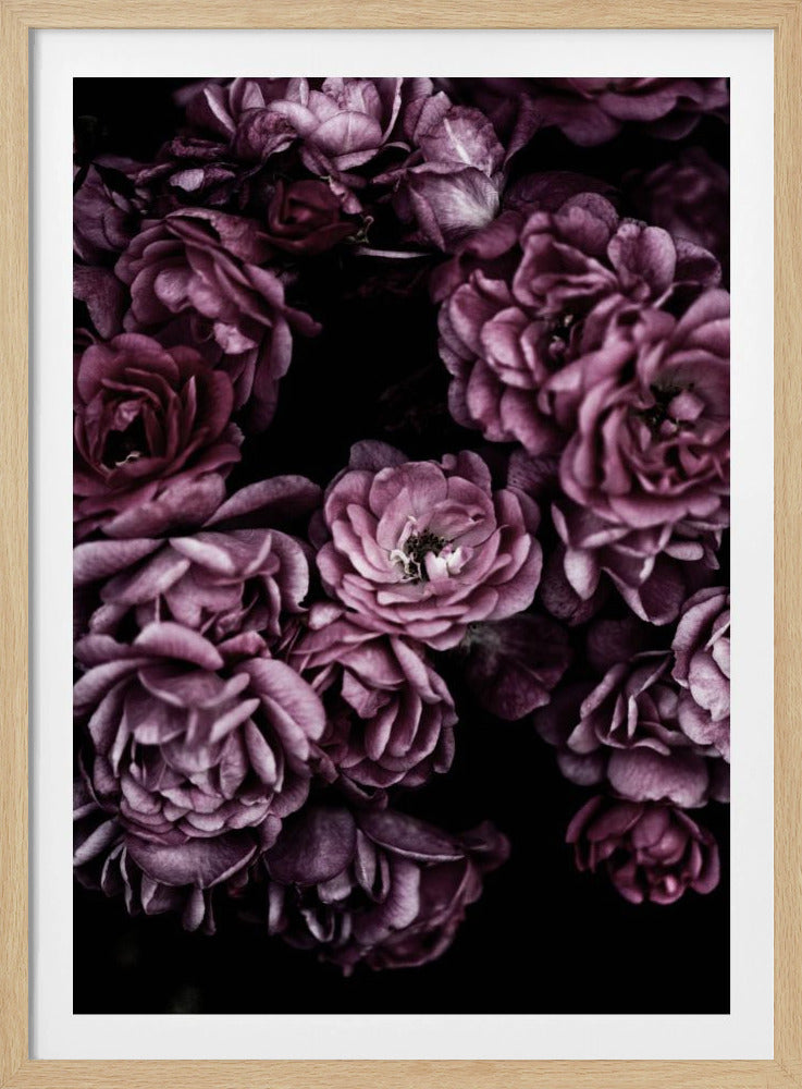 Wilde rozen | Poster