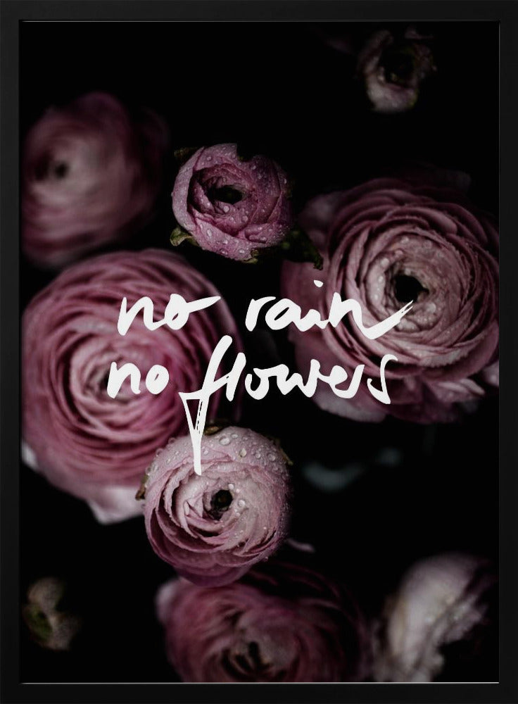Geen regen, geen bloemen 2 | Poster