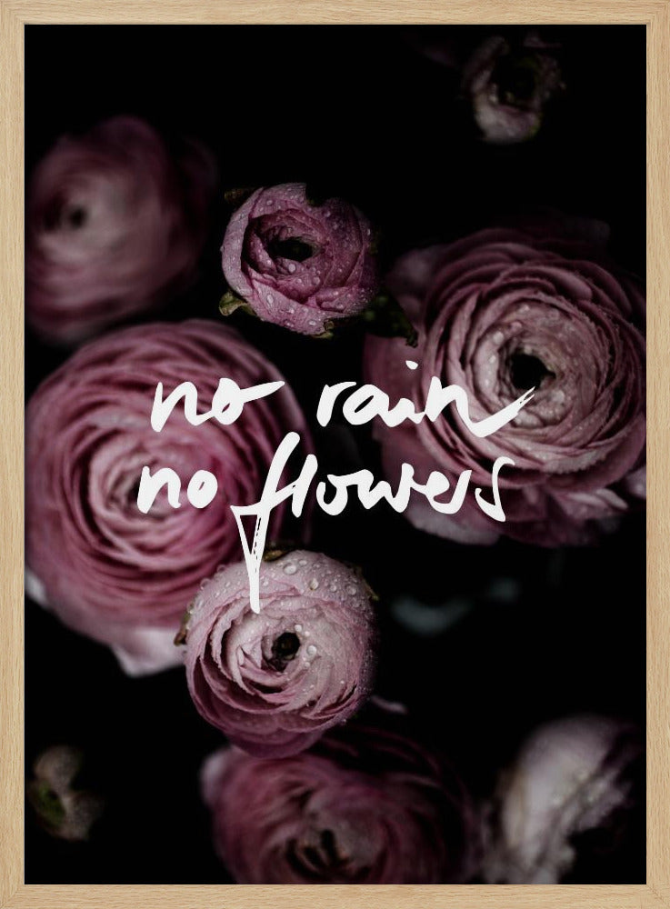 Geen regen, geen bloemen 2 | Poster