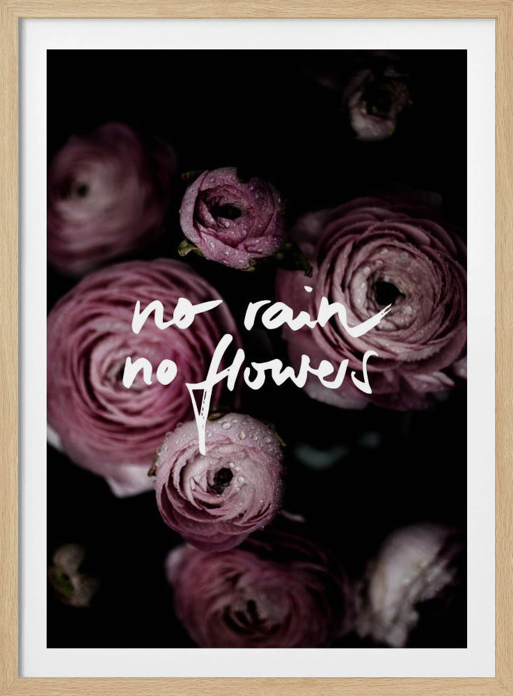 Geen regen, geen bloemen 2 | Poster