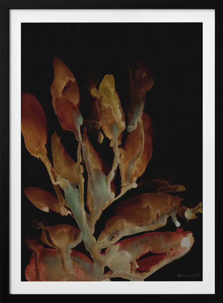 Night Plant | Poster