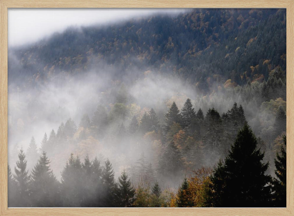 Mistige bossen 9 | Poster