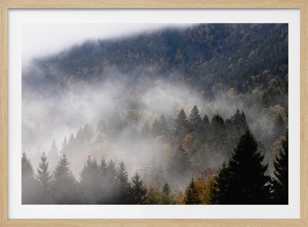 Mistige bossen 9 | Poster
