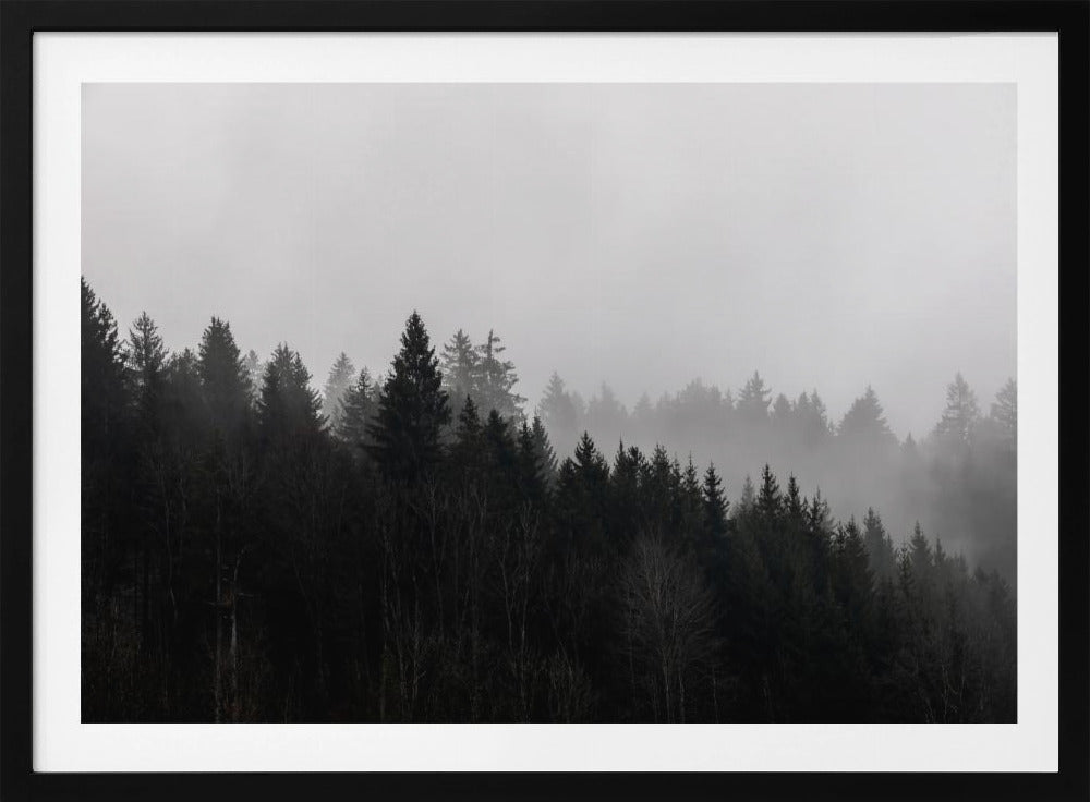 Mistige bossen 7 | Poster