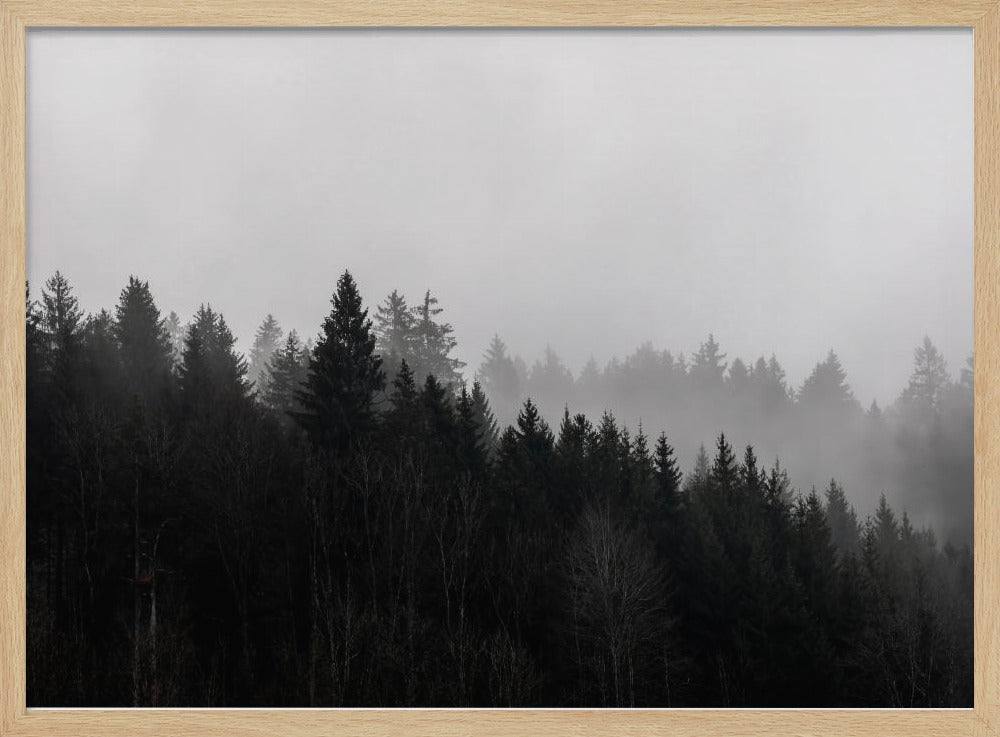 Mistige bossen 7 | Poster